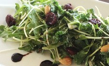 Salad of Kale