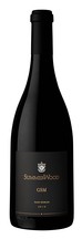 2019 GSM